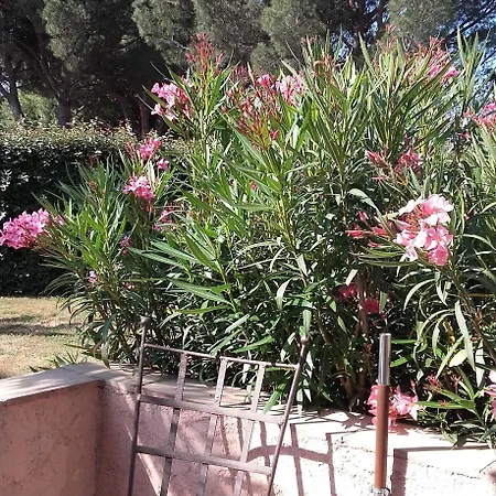 Oda ve Kahvaltı D'hotes Alize Grimaud