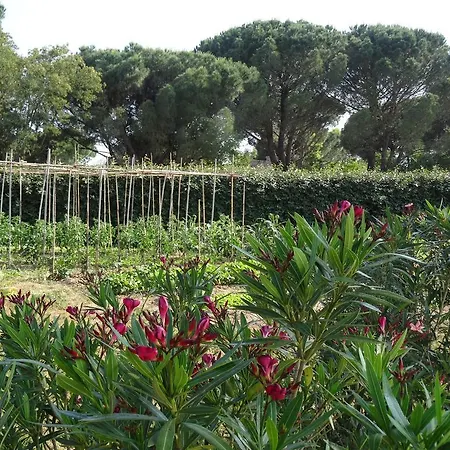 D'hôtes Alizé * Grimaud