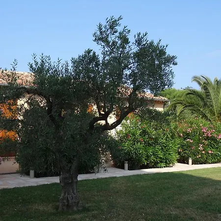 D'hotes Alize 3* Grimaud