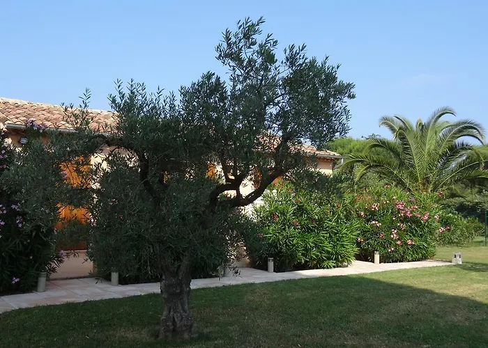 D'hotes Alize 3* Grimaud