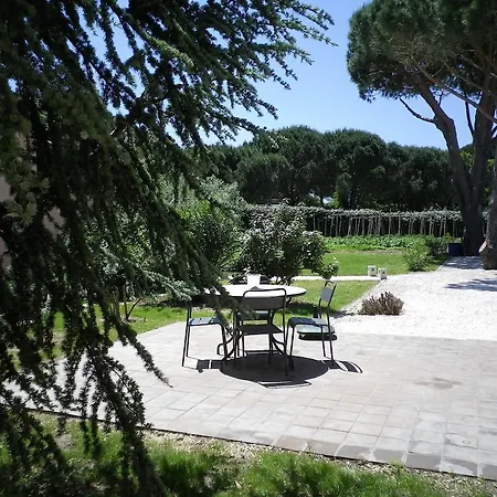 Bed & Breakfast D'hotes Alize Grimaud