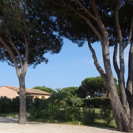 Bed & Breakfast D'hotes Alize