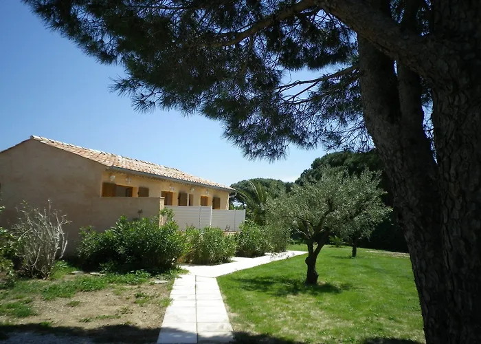 D'hotes Alize Grimaud