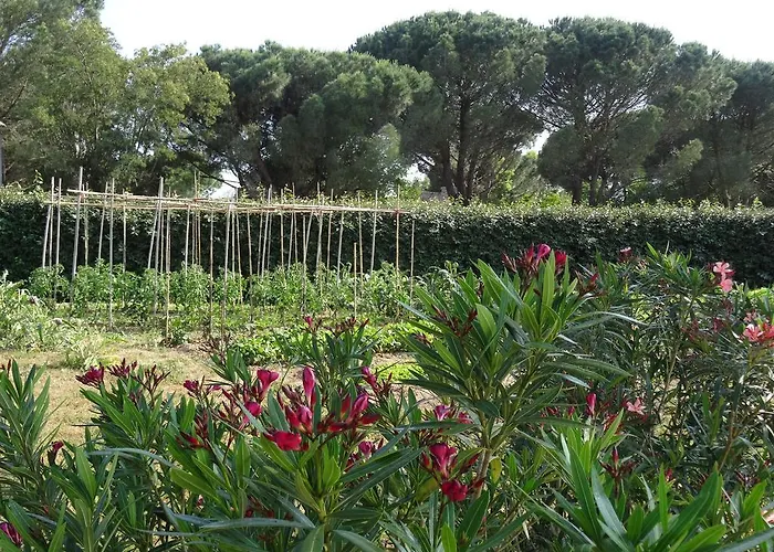 D'hotes Alize 3* Grimaud